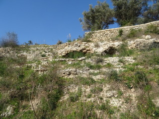 Grotte Castellucciane Ossena